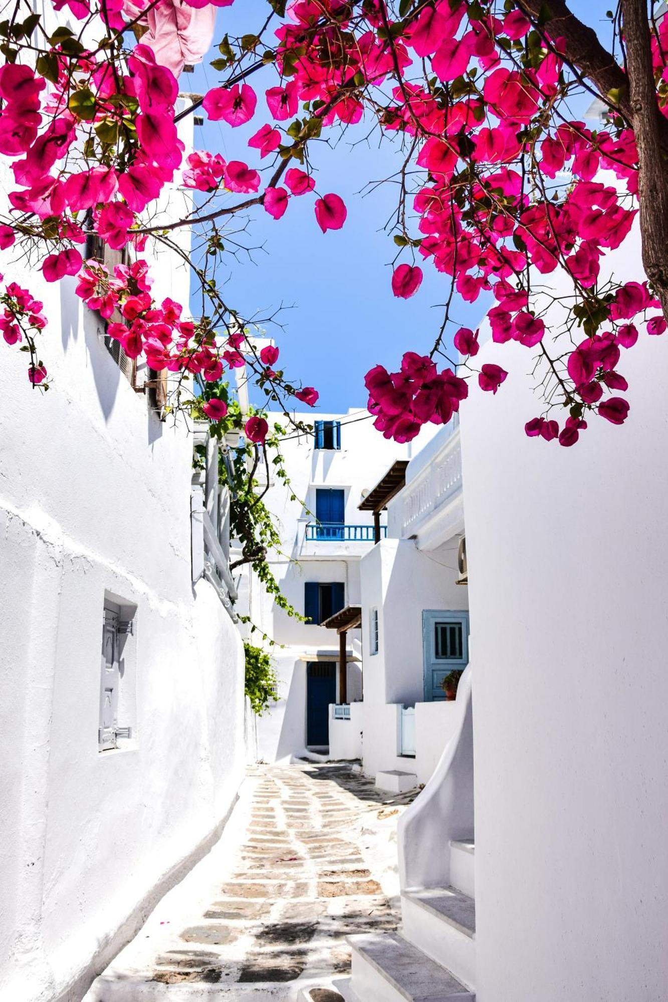 Aniko Suites White Alley Mykonos Town ภายนอก รูปภาพ